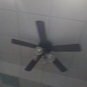 Meet your Posher, Ralph